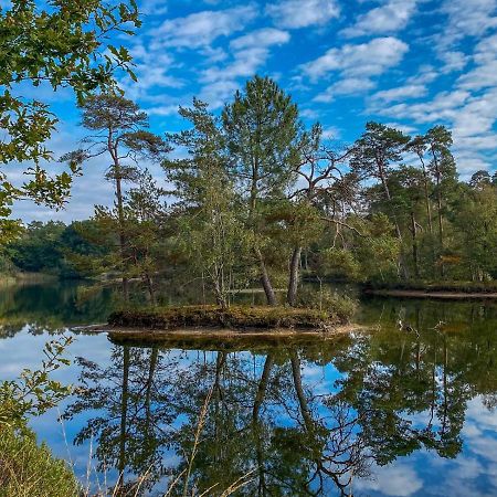 Bospareltjes Luxe Chalets Alleen Voor Recreatie Oisterwijk Eksteriør bilde